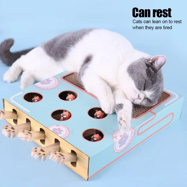 Cat Game Box Maze Interactive Educational Cat Hit Gophers Funny Cat Stick 3 in 1 Cat Toy Chase Hunt Mouse With Scratcher - Image 6