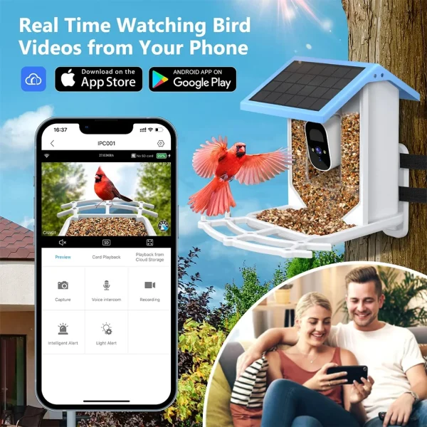 Bird Smart Feeder with Camera 2.4K Solar Low Power Night Vision IP66 Waterproof WIFI of 4G Connect Real Bird Species Feeder