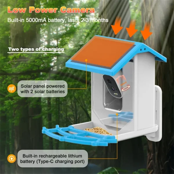 Bird Smart Feeder with Camera 2.4K Solar Low Power Night Vision IP66 Waterproof WIFI of 4G Connect Real Bird Species Feeder - Image 3