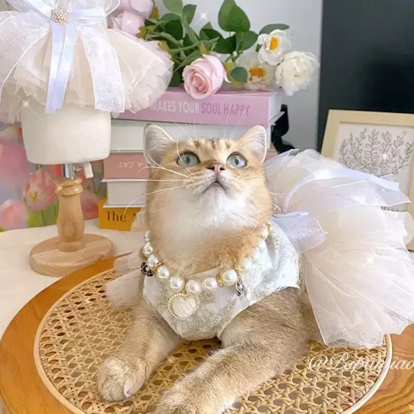 Princess Dog Wedding Dress Cat Tutu Skirt with D-ring Leash Hole Dog Clothes for Small Dogs Chihuahua Poodle - Image 2