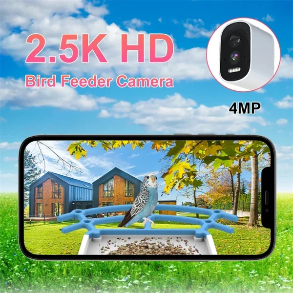 Bird Smart Feeder with Camera 2.4K Solar Low Power Night Vision IP66 Waterproof WIFI of 4G Connect Real Bird Species Feeder - Image 4