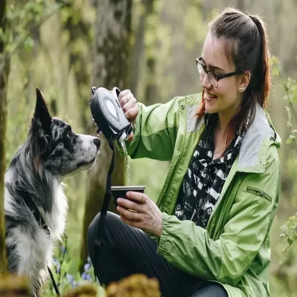 4 In 1 Retractable Kettle Dog Leash - Image 4
